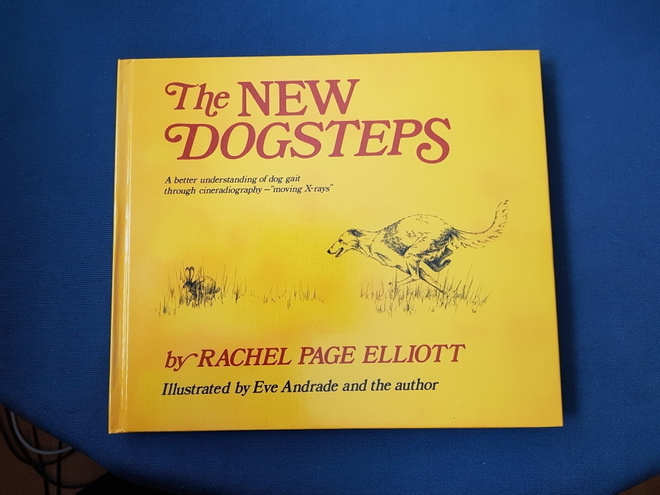 The New Dogsteps by Rachel Page Elliottt