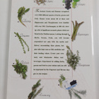 Myrsini Lambraki : Herbs, greens, fruit : the key to the ... - pikkukuva 2