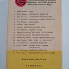 P. G. Wodehouse : Kesäinen rajuilma - pikkukuva 2