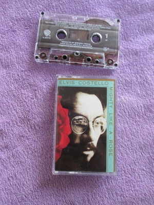 ELVIS COSTELLO - mighty like a rose
