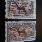 Etiopia 1987: Simien kettu - pikkukuva 2