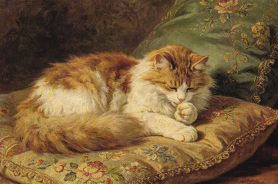 Kissa kortti
