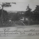 Viipuri, Papulan puistoa, silta ja penkki, mv pk, p. 1903 - pikkukuva 1