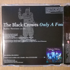 The Black Crowes - Only A Fool CDS - pikkukuva 2