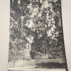 VANHA Postikortti Nurmes 1950-l Alkup.Mallikappale - pikkukuva 1