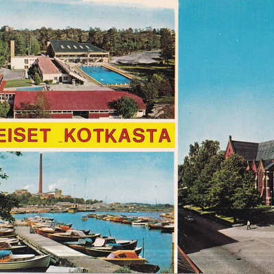 Kotka. sommitelmakortti, e276
