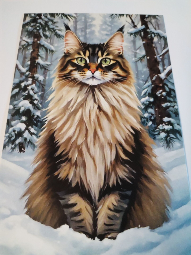 Kissa kortti,kulkematon,kehyksiin tauluksi.