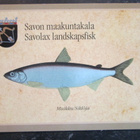 KULKEMATON MUIKKU SAVON MAAKUNTAKALA VAAKUNAKORTTI - pikkukuva 1
