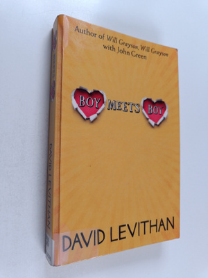 David Levithan : Boy meets boy