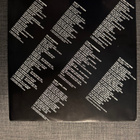 Alice in Chains Facelift lp - pikkukuva 4