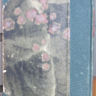 H. R. Halli: Musta tohtori, Ahjo 1920. 165 s. - pikkukuva 2