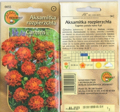 Ryhmäsamettikukka "Carmen" HUOM PÄiVÄYS! Ale -30%#