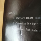 THAUROROD - UPON HAUNTED BATTLEFIELDS 2xlp - pikkukuva 4
