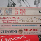 Adrian Mole x6 - 6 teosta - In english - pikkukuva 1