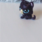 LPS COLLIE - pikkukuva 2