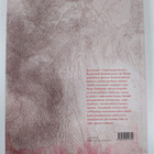 Marjatta Levanto : Rembrandt : tottelematon - pikkukuva 2