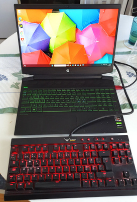 HP Pavilion Gaming 15-R 5/GTX 1650/SSD 500Gb-KORJATTAVAKSI