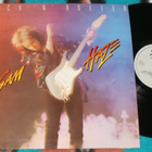 SAM HAZE  Rock N' Roller ~ LP Sami Hurmerinta - pikkukuva 1