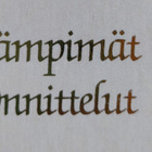 Onnittelukortti kihlaparille - pikkukuva 2
