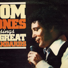 Tom Jones sings 24 great standards (LP) - pikkukuva 1