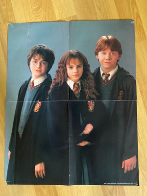 Harry Potter juliste