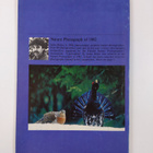 Form - Fun - Fiction Finland 2/1982 - pikkukuva 2