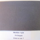 VANHA Postikortti Lieto Mellilä 1920-l - pikkukuva 2