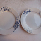 2 KPL APILANLEHTI SUOMI 100 LAUTASET 21CM - pikkukuva 1