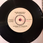 BLUES SECTION: Hey,Hey,Hey * Shivers of Pleasure* FIN 1967 - pikkukuva 2