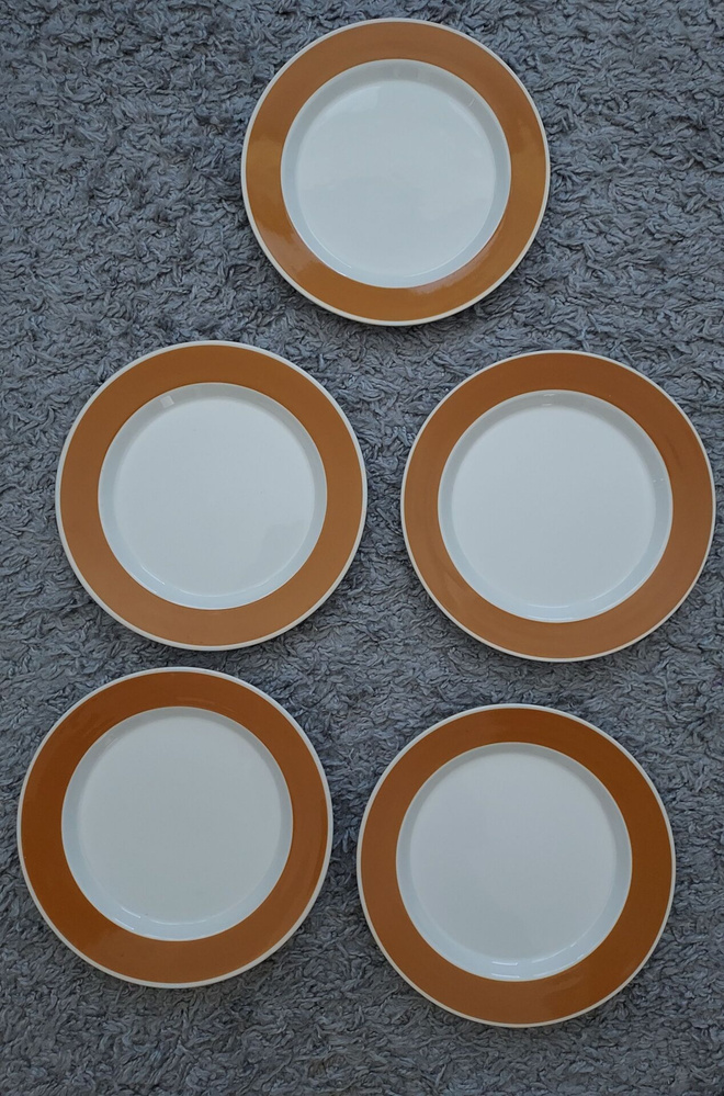 Arabia Aprikoosi lautaset 5 kpl 20 cm