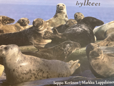 KERÄNEN - LAPPALAINEN: HYLKEET
