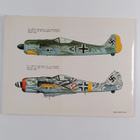 Jerry L. Campbell : Focke Wulf FW 190 in action - pikkukuva 2