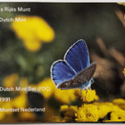 Alankomaat 1991 vuosisarja, FDC - pikkukuva 1