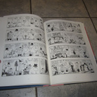 Tove Jansson : Muumit sarjakuvaklassikot V ( 1.p. 2012) - pikkukuva 3