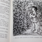 Laura Soinne - Vuorenhaltijan lahja 1.p. 1953 - pikkukuva 4
