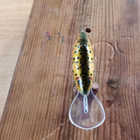 Salmo Floating 3,5cm - pikkukuva 3
