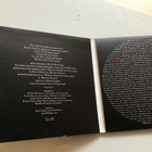 Boris Hauf . Next Delusion CD - pikkukuva 3
