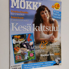 IS Teema : Mökki - pikkukuva 1