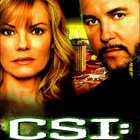 CSI kausi 7  (6 disc) - DVD Boxi  (Uusi, muoveissa) - pikkukuva 1