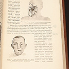 Kotilieden lääkärikirja (1929) - pikkukuva 4