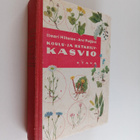 Ilmari Hiitonen : Koulu- ja retkeilykasvio - pikkukuva 1
