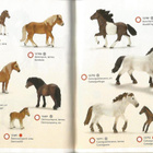 Schleich - 175 sivuinen lelufiguurikuvasto - pikkukuva 2