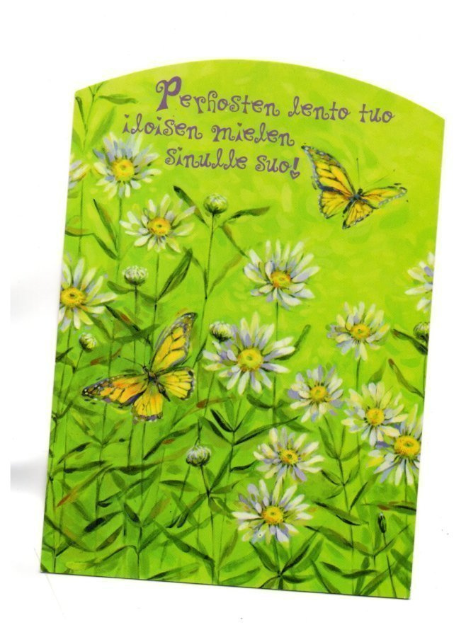 °°PERHOSTEN LENTO TUO ILOISEN...  -KORTTI /Tim Coffey