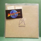 INSTITUT - UNTO THE LAST MAN 2 X 7" - pikkukuva 1