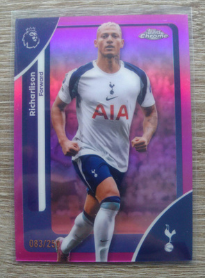 Richarlison numeroitu 83/250