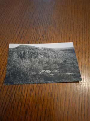 12 Koli