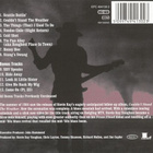 Stevie Ray Vaughan : Couldn't Stand The Weather - pikkukuva 2
