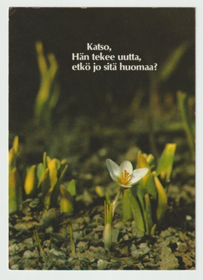 Seppo J. Sirkka :" Katso Hän tekee uutta , etkö jo sitä huo