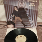 Roderick Falconer New Nation lp - pikkukuva 1