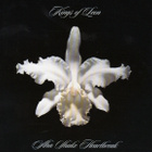 Kings Of Leon – Aha Shake Heartbreak - pikkukuva 1
